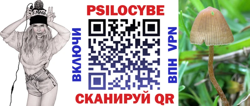 Псилоцибиновые грибы Psilocybe это как зайти Кукмор где продают